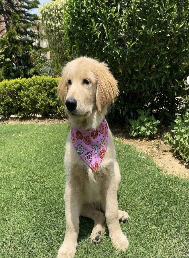 W Improved Donut Dog Bandana (Mad Over Donuts) | This Stunning Gorgeous Design Dog Bandana Scarf is Perfect Styling Accessory for Dogs Large, Medium & Small. One Size Fits All. - Image 4